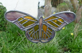 Leopard lacewing butterfly Image